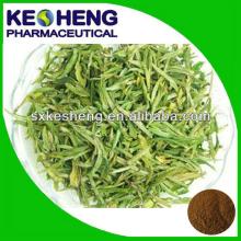 Pure nature Green Tea Extract/ EGCG/Catechin