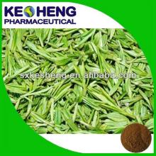 Pure Natural Green Tea Extract /Tea Polyphenol, Catechin, EGCG