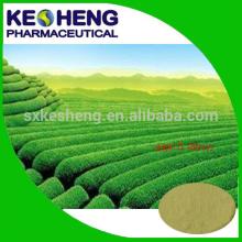 green tea extract (Tea polyphenol 50%-98%)