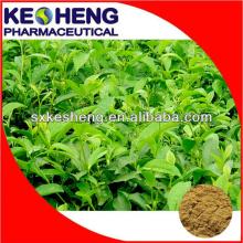 Catechins/Tea Polyphenols 95%/Catechin 75%/Tea Extract