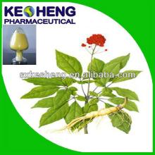 Good for healthy of Ginseng extract powder/Super popularity high ginseng extract powder