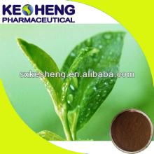 water soluble tea polyphenols black tea polyphenols 98%polyphenol