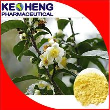 cell wall broken camellia pollen/ 200 mesh powder