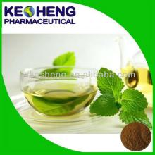 Green Tea Extract Powder 90 Polyphenols