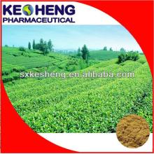 98% polyphenols Green Tea powder Extract for Healthcare Products
