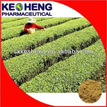 Factory supply instant green tea extract powder