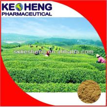 High quality instant tea powder