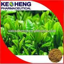 Chinese herbal Instant Green Tea Powder,matcha powder