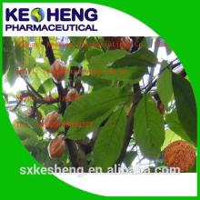 100% natural cocoa seed extract powder