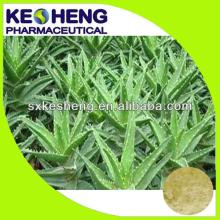 Supply Top Quality 100% Natural aloin aloe vera extract