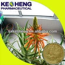 aloe vera extract raw/aloe vera extract barbaloin