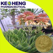 high quality aloe vera extracts/aloe vera extracts 200:1