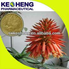 20% Barbaloin aloe vera products