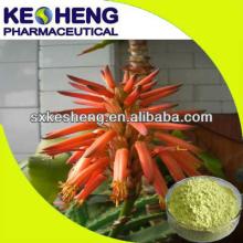 100%  pure  raw material  aloe   vera /100  pure   aloe   vera   gel 