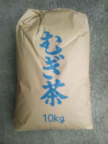 roasted barley tea wholesale 10kg