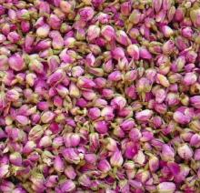 Pink Rose Buds_ Irainian Pink Rose Buds_