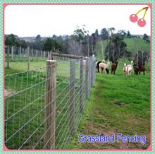 3 feet Hot Dipped Galvanized Deer Fence