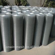china factory Galvanized Welded Wire Mesh for chicken cage