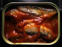 Canned sardine in tomato  sauce  (competitive price)