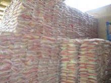 Dry sheep powder milk , donkey milk powder