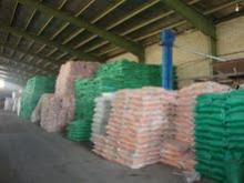 Dried skimmed milk powder
