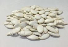 Pumpkin Seeds as Canada Wholesale Products