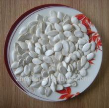 wholesale low price shine skin pumpkin seeds