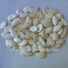 pumpkin seeds kernels