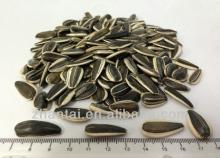 Giant Roasted And Salted Sunflower Seeds