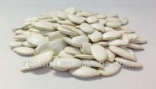 Pumpkin Seeds What Wholesale Distributors Wanted