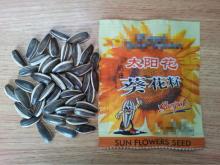 24/64 5009 sunflower seeds as list food products