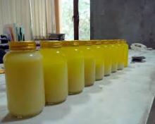 PURE COW BUTTER GHEE