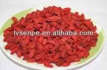 factory 100% natural goji berry extract powder