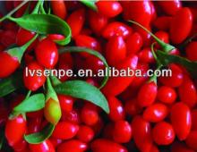 BNP competitive price High quality Goji berry extract powder