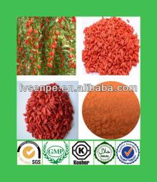 High Quality 100% lycium barbarum polysaccharide /natural goji berry extract polysaccharides