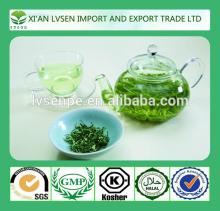 Improving immunity and Anti-radiation natural green tea extract polyphenol
