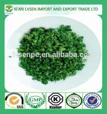 Hot products Antioxidant and Scavenge free radicals green tea extraction polyphenols