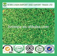 Anti-inflammatory and detoxifying and sterilization green tea extraction 90% egcg