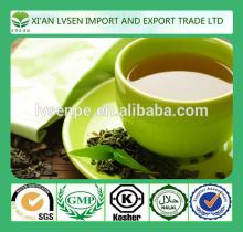 Lowering cholesterol and triglycerides and Reducing blood clotting green tea extraction 90% egcg