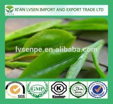 Enhancing weight loss and Enhancing metabolism and fat oxidation natural green tea extract egcg