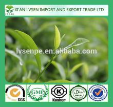 Hot products  Antioxidant  and Scavenge free radicals zener green  super  green   tea   extract 