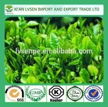 Anti-inflammatory and detoxifying and sterilizationgreen tea extraction 100%