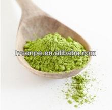 EGCG 40%~98% by HPLC/UV100% natural green tea extract Polyphenols 95~98% extract powder