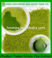Green Tea Extract Powder Green Tea Polyphenols