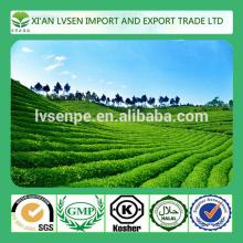 Improving immunity and Anti-radiation green tea extraction polyphenols powder 50%-98%