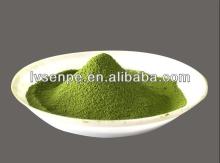 100% pure organic bio green tea extract.natural green tea extract powder