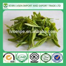 Hot products Antioxidant and Scavenge free radicals green tea extract powder
