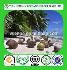 Best Medium Grade High Fat organic coconut milk powder