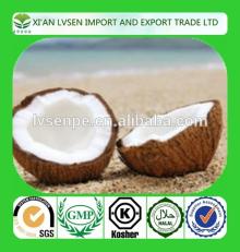 High Quality High Fat Desiccated Coconut Powder