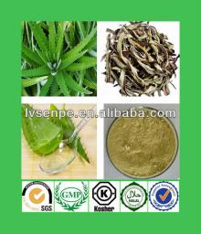 GMP supplier high quality aloe vera extraction machine, CAS  no:1415-73-2aloe  b ar b adensis leaf ,aloe  b 